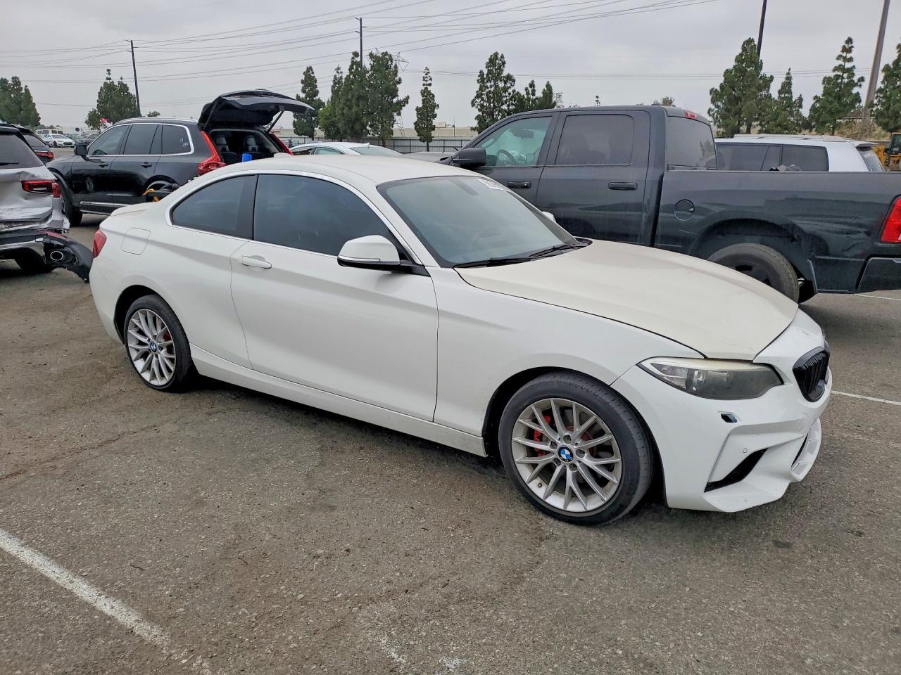 2016 BMW 228 I Sulev - Фото 4