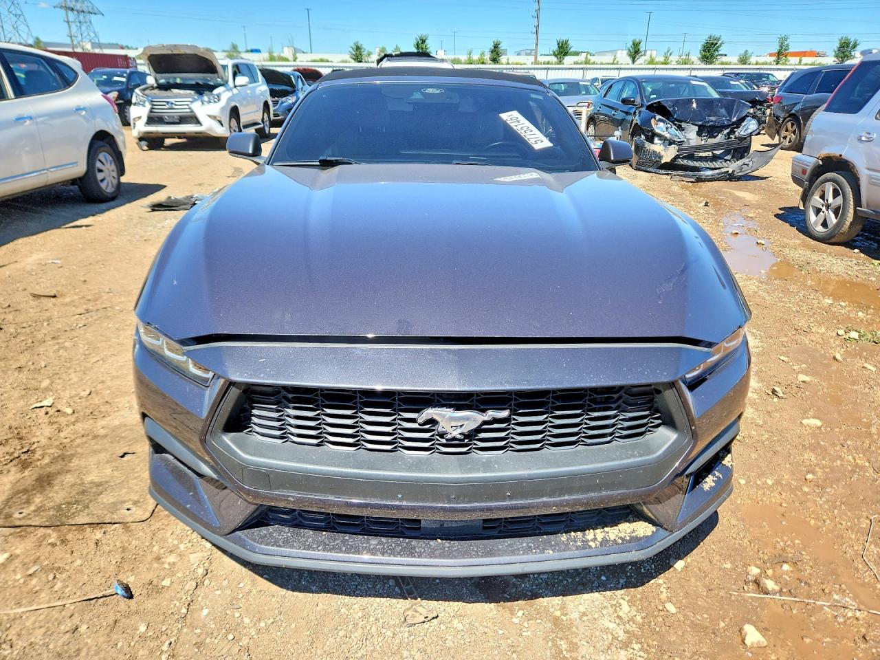 2024 Ford Mustang - Фото 5