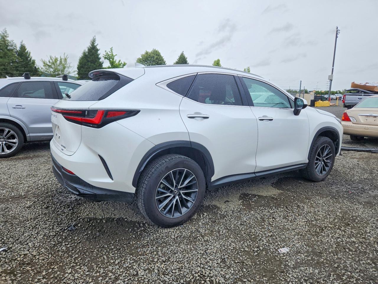 2023 Lexus Nx 350H - Image 3
