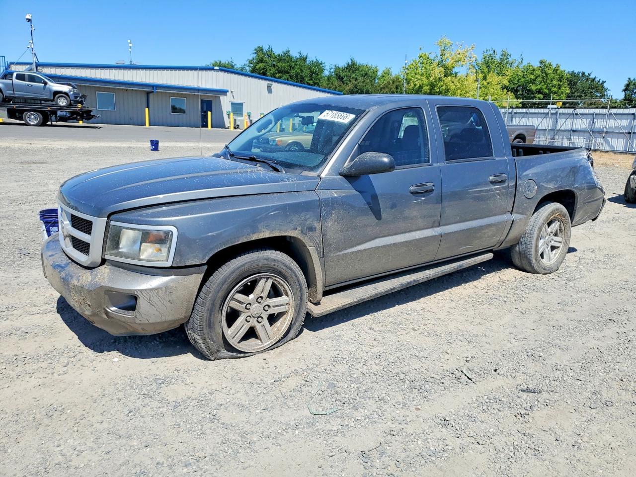 2008 Dodge Dakota Sxt