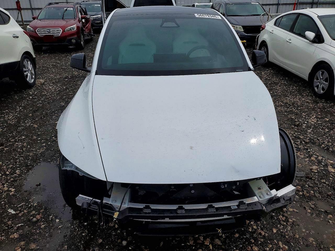 2026 Tesla Model Y - Image 5