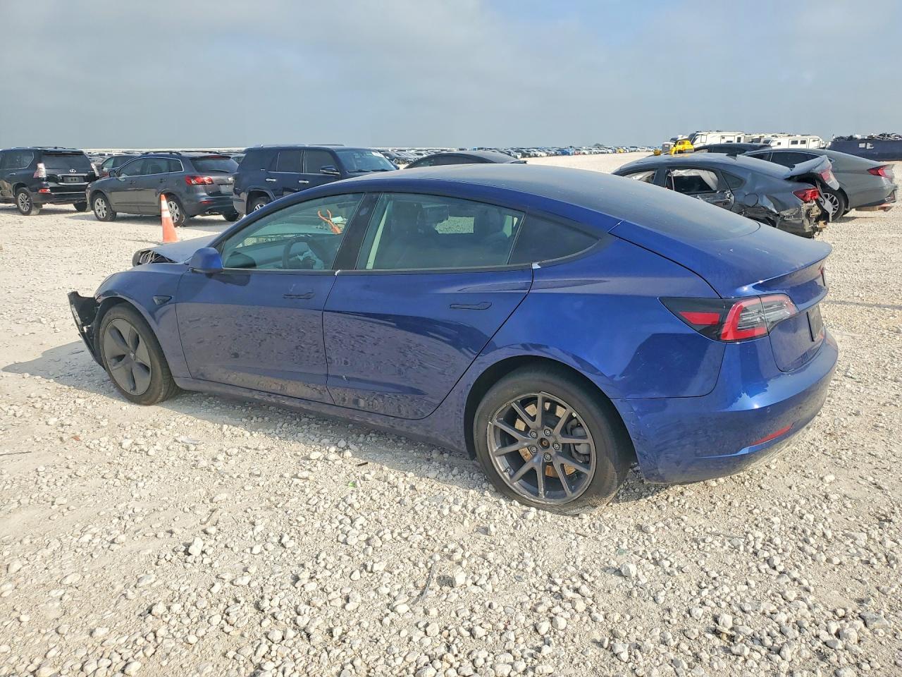 2019 Tesla Model 3 - Фото 2