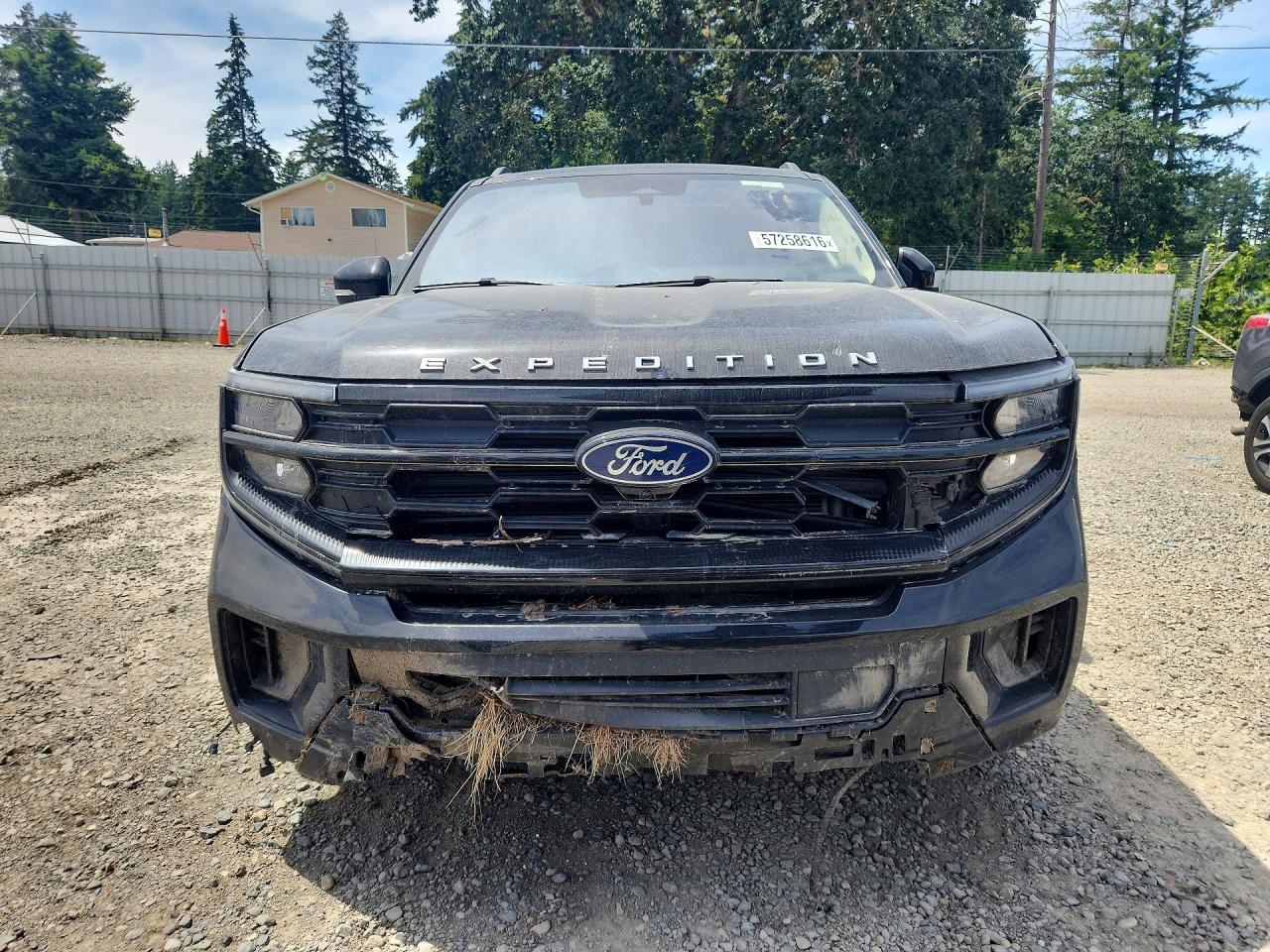 2025 Ford Expedition Active - Фото 5