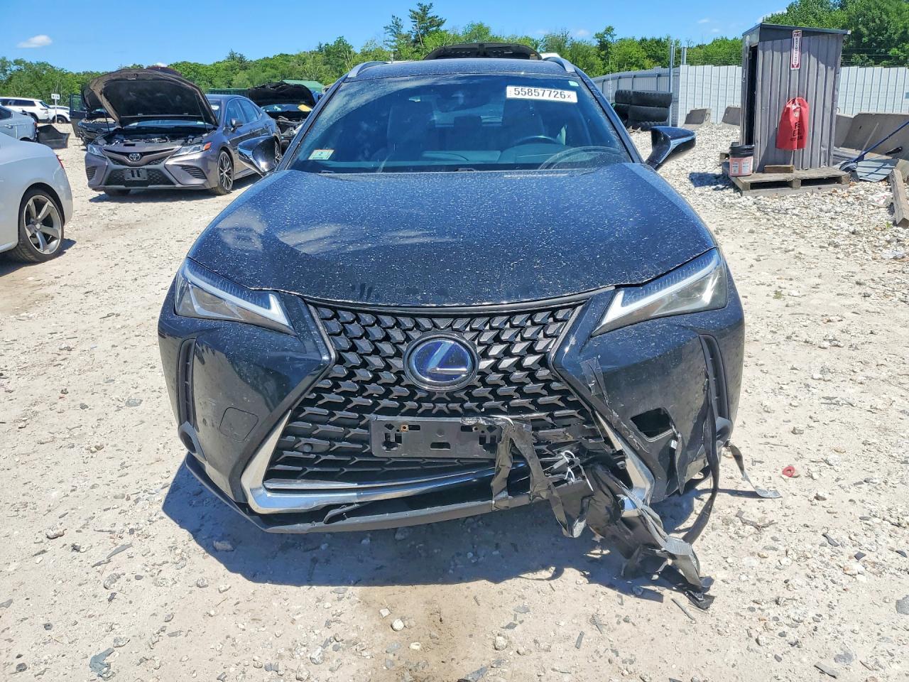2020 Lexus Ux 250H - Фото 5