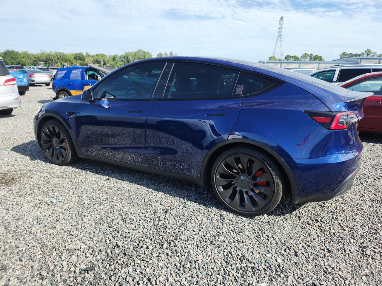 2023 Tesla Model Y - Фото 2