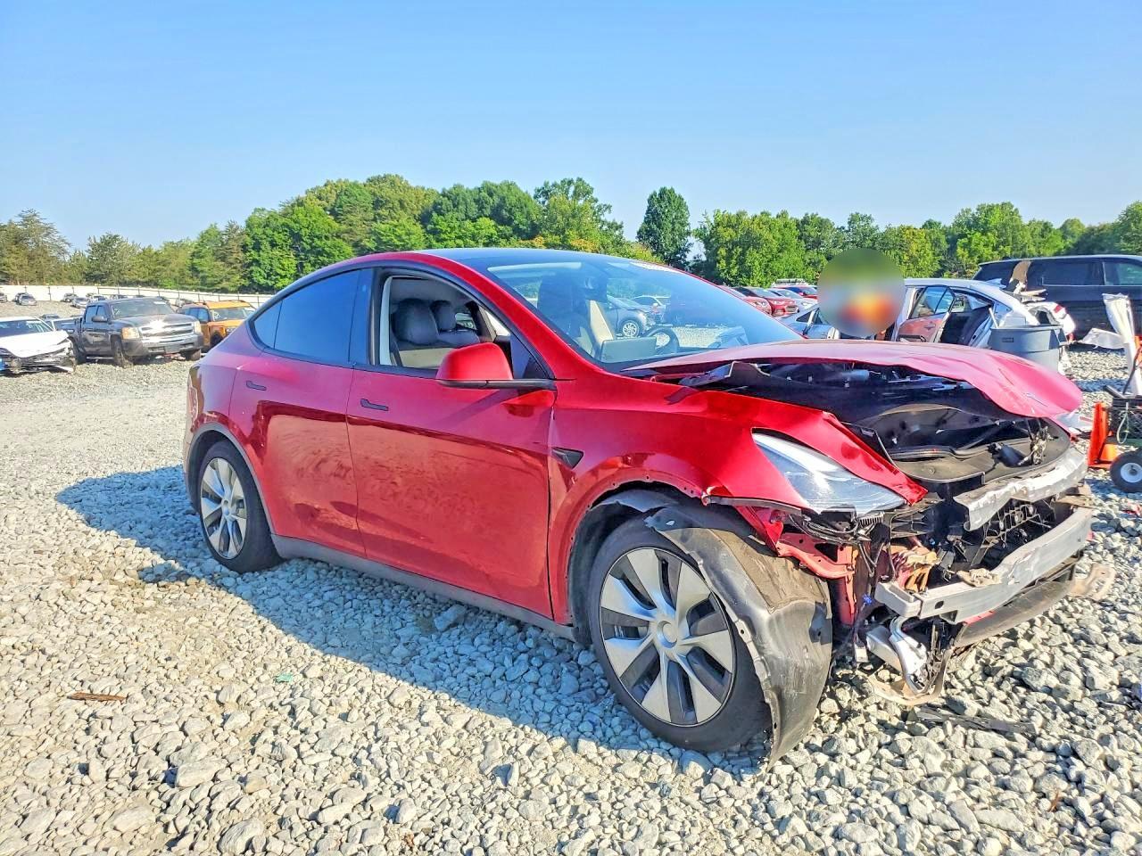 2023 Tesla Model Y - Фото 4