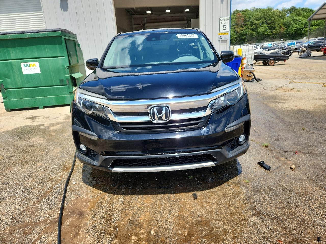 2019 Honda Pilot Exl - Image 5