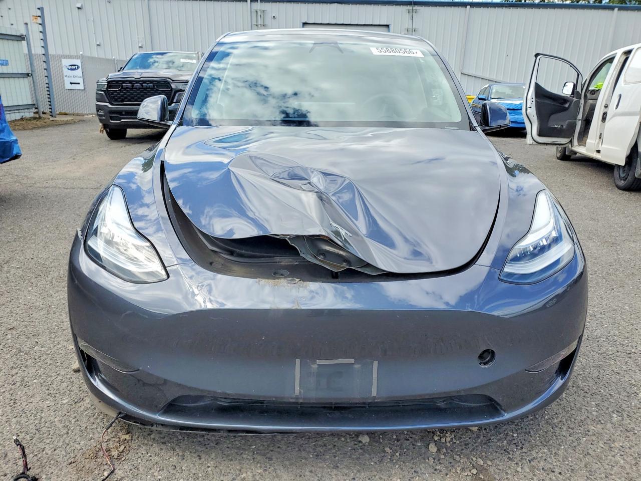 2023 Tesla Model Y - Фото 5