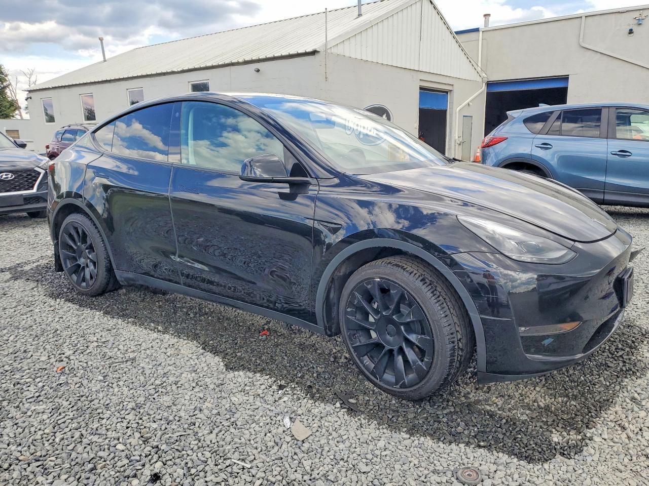 2023 Tesla Model Y - Фото 4