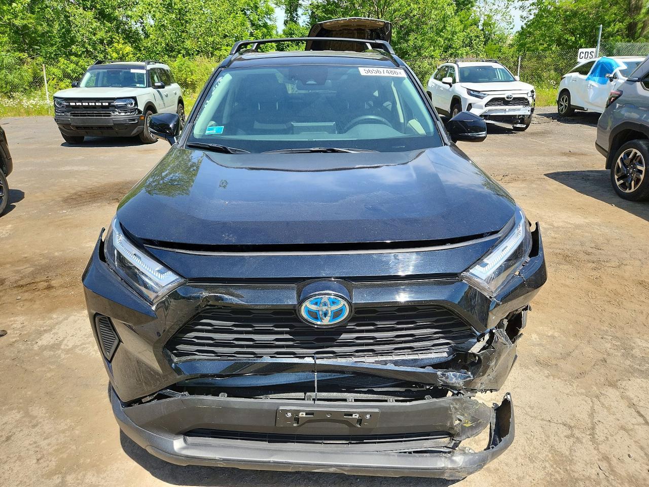 2024 Toyota Rav4 Hybrid Xle - Фото 5