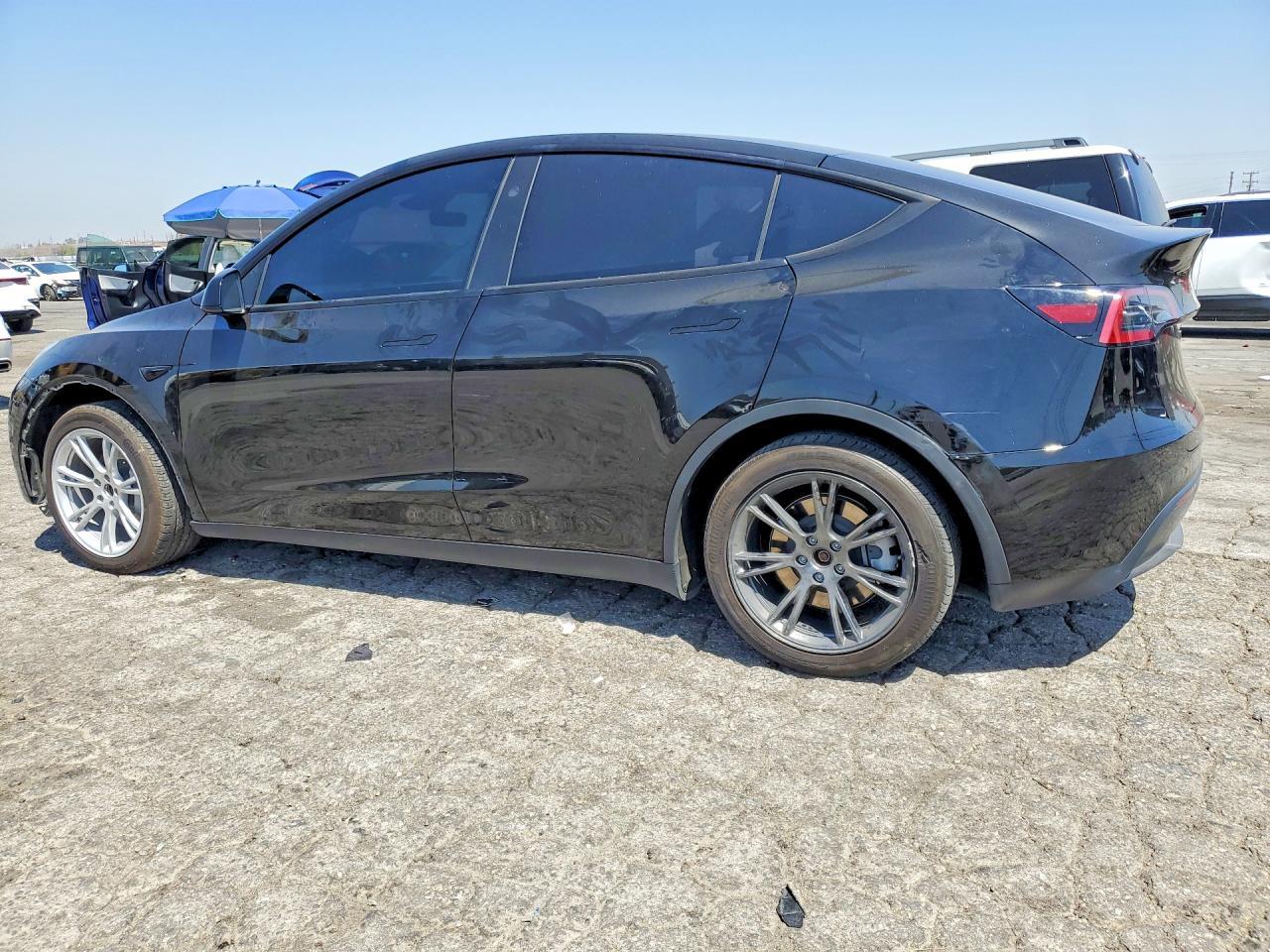 2024 Tesla Model Y - Фото 2