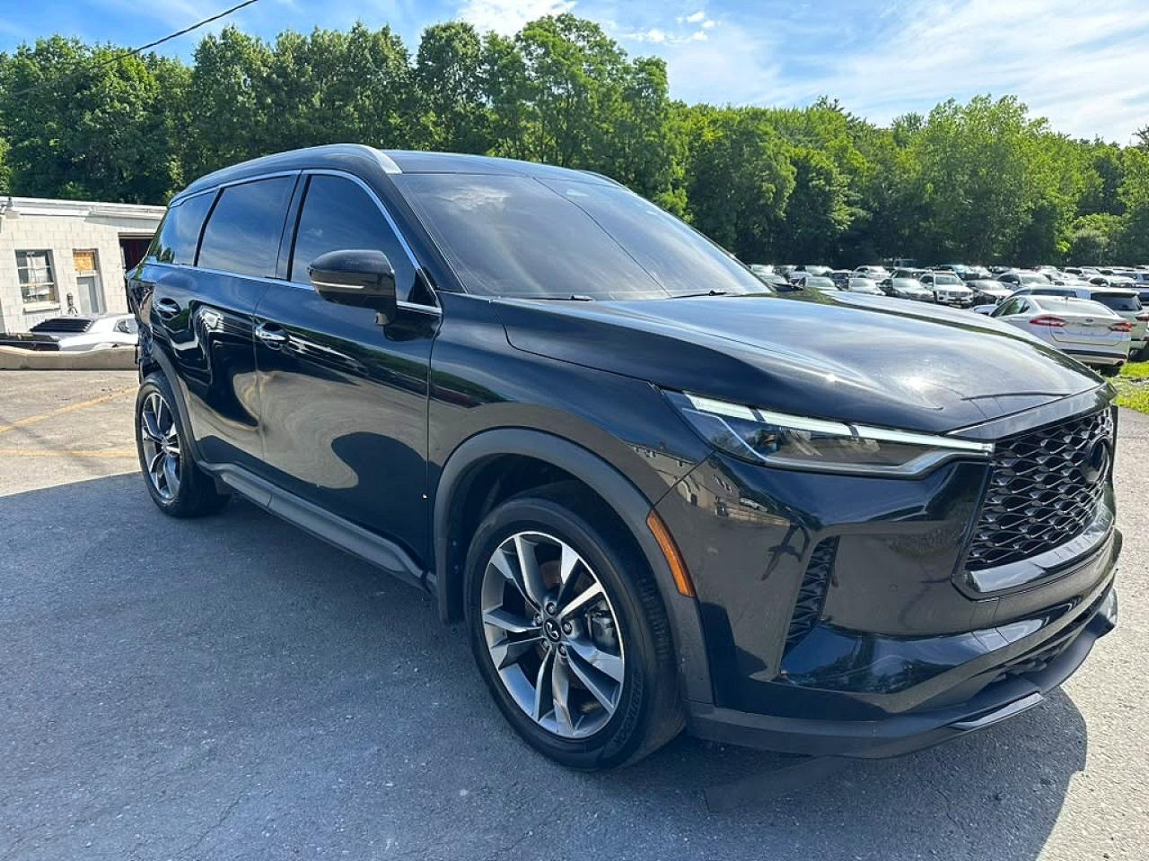 2024 Infiniti Qx60 Luxe - Image 4