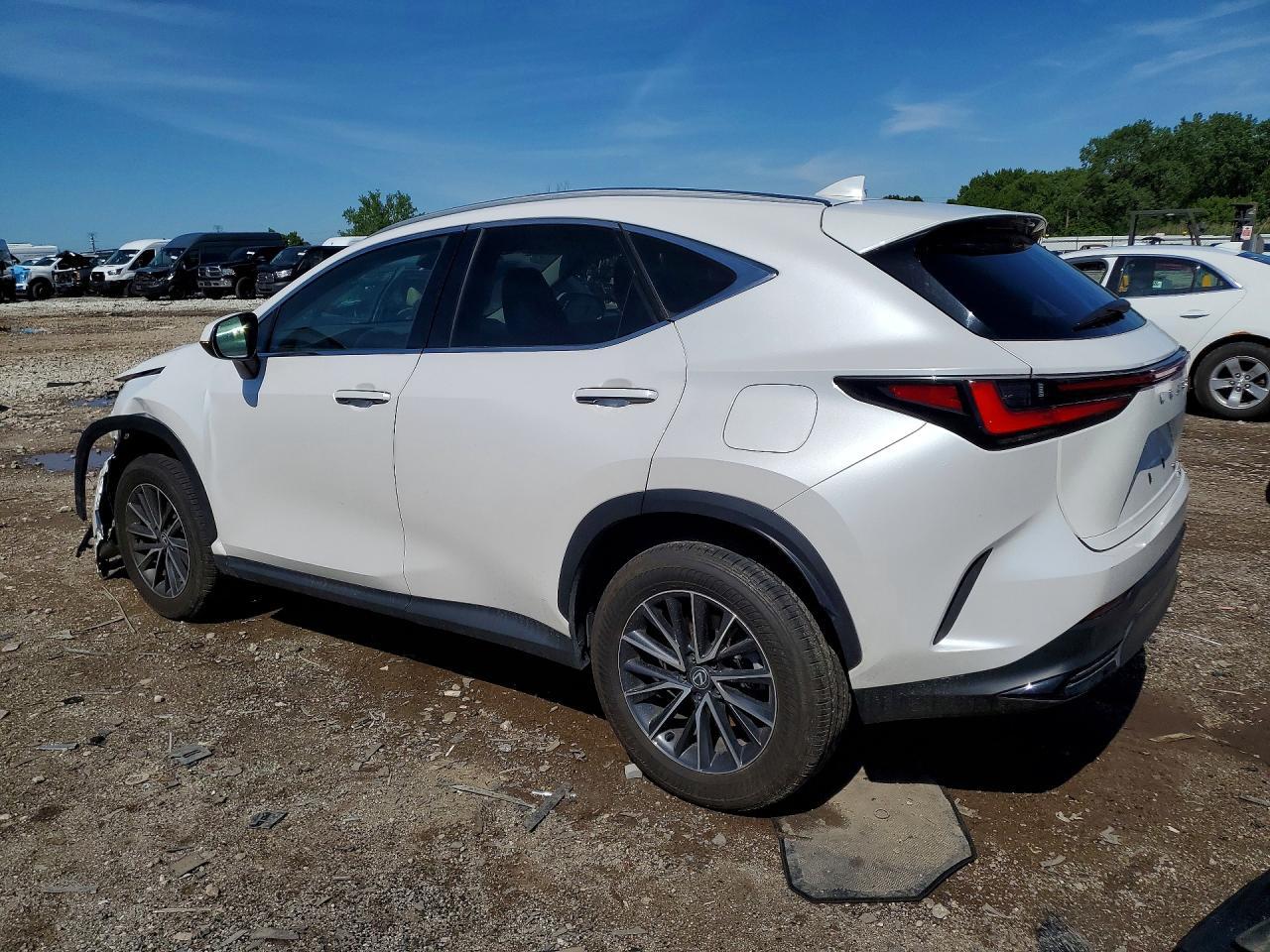 2024 Lexus Nx 350 Base - Фото 2