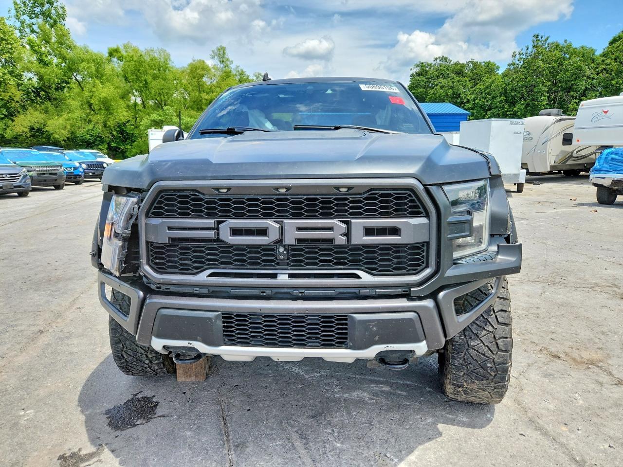 2019 Ford F150 Raptor - Фото 5