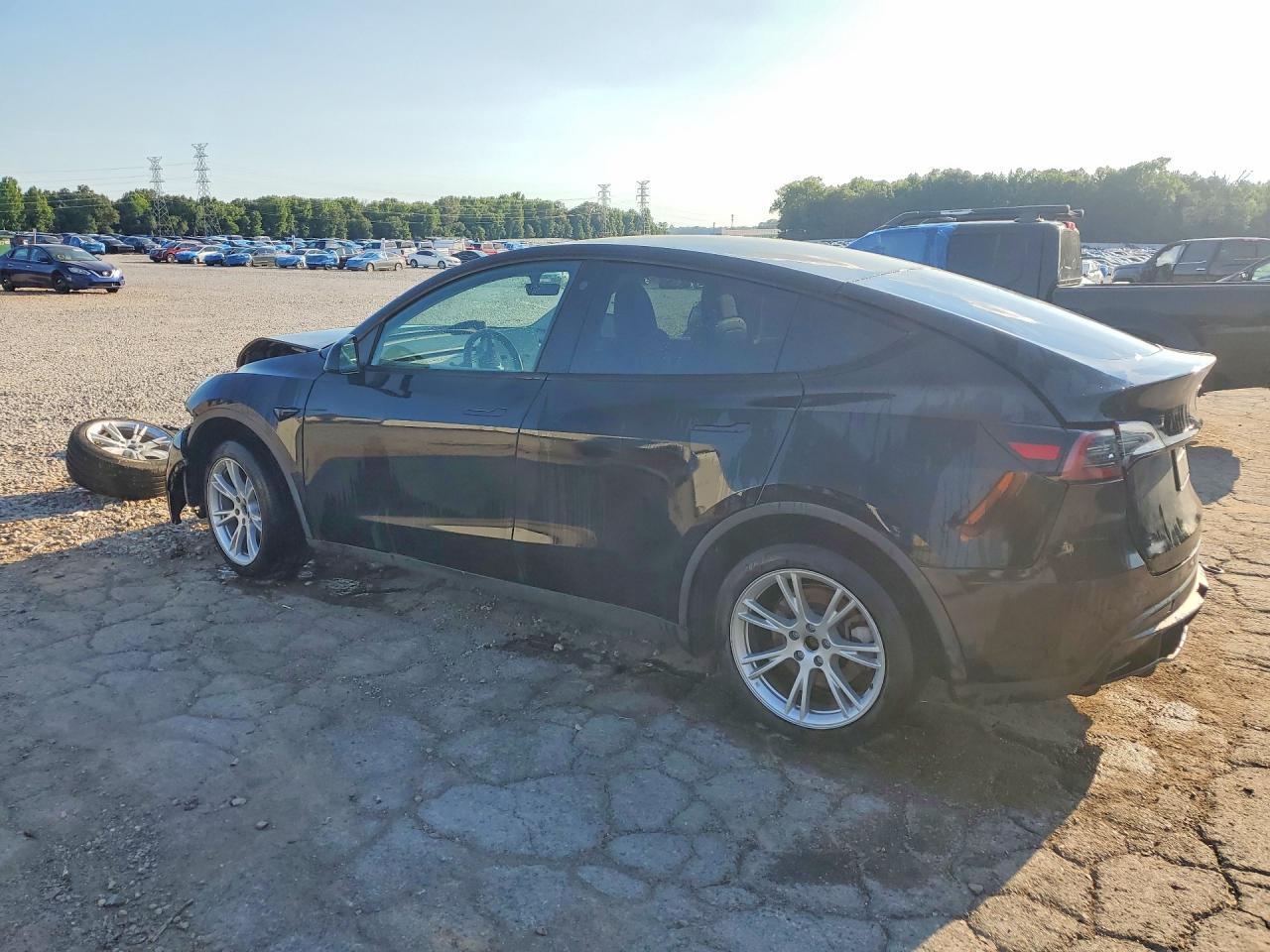 2023 Tesla Model Y - Фото 2