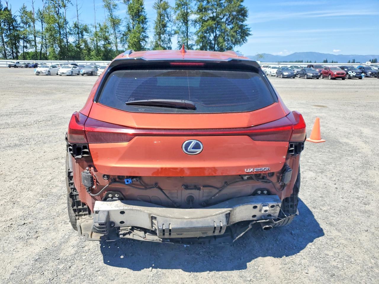 2020 Lexus Ux 250H - Фото 6