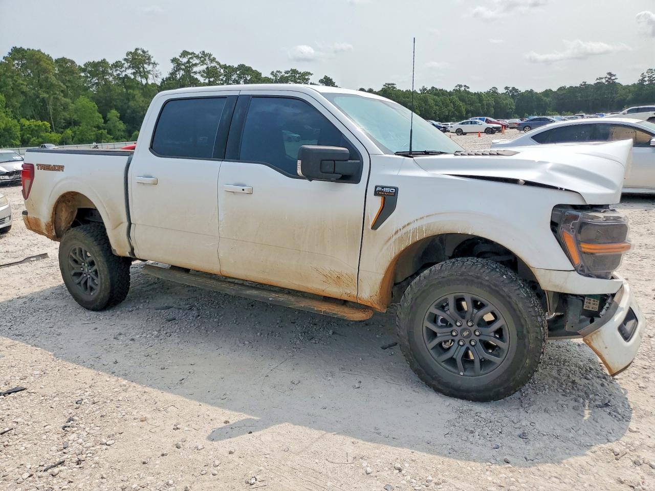 2025 Ford F150 Tremor - Image 4