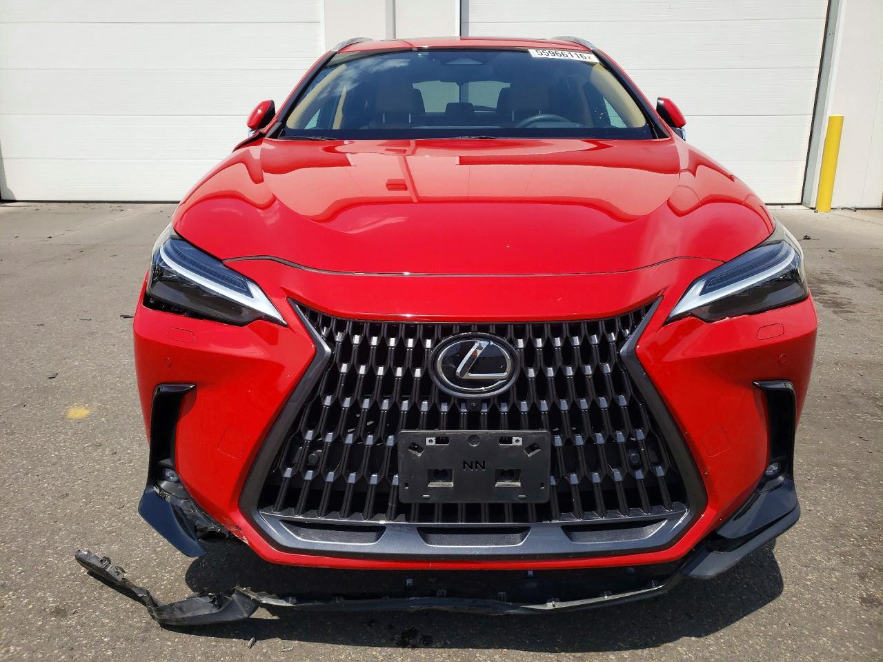 2024 Lexus Nx 350 Luxury - Фото 5