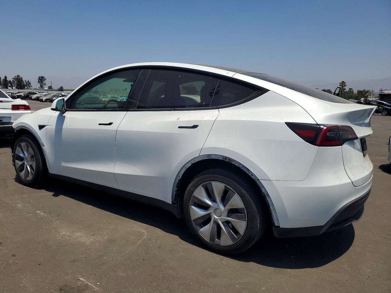 2023 Tesla Model Y - Фото 2