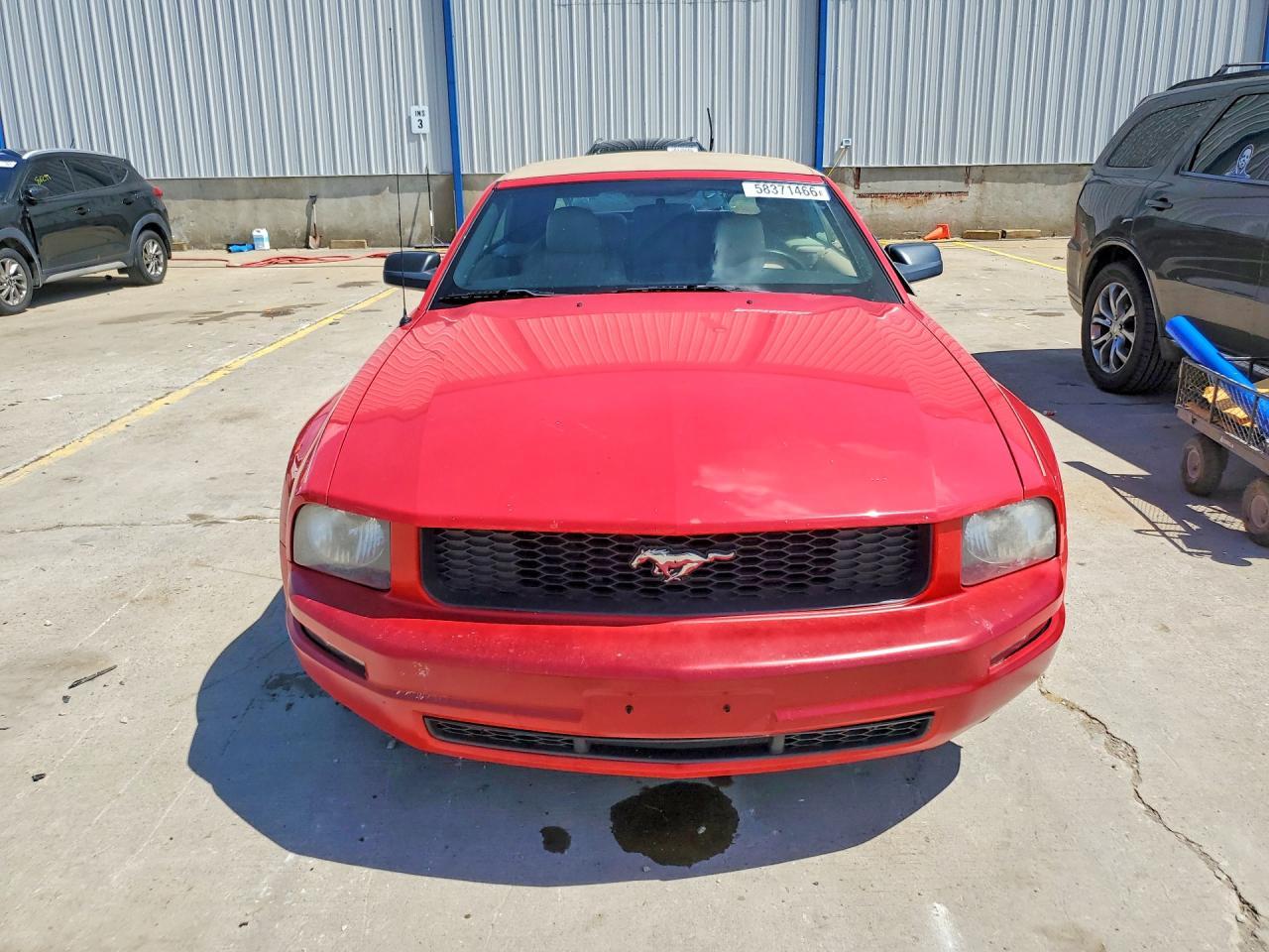 2008 Ford Mustang - Фото 5