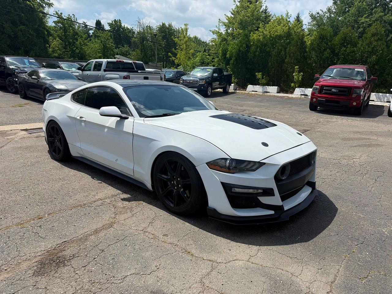 2019 Ford Mustang Gt