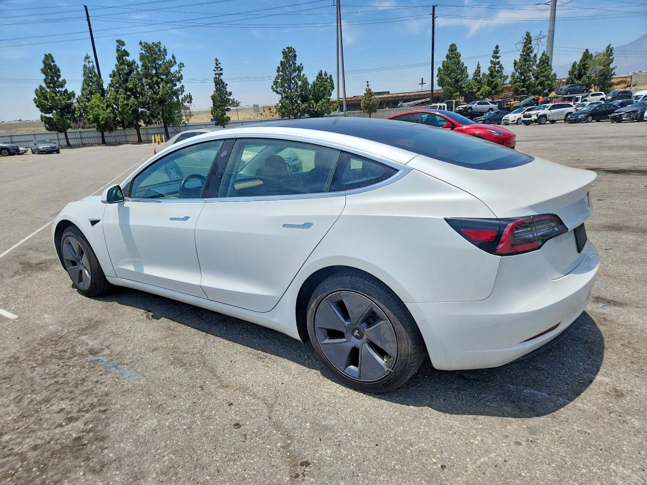 2019 Tesla Model 3 - Фото 2