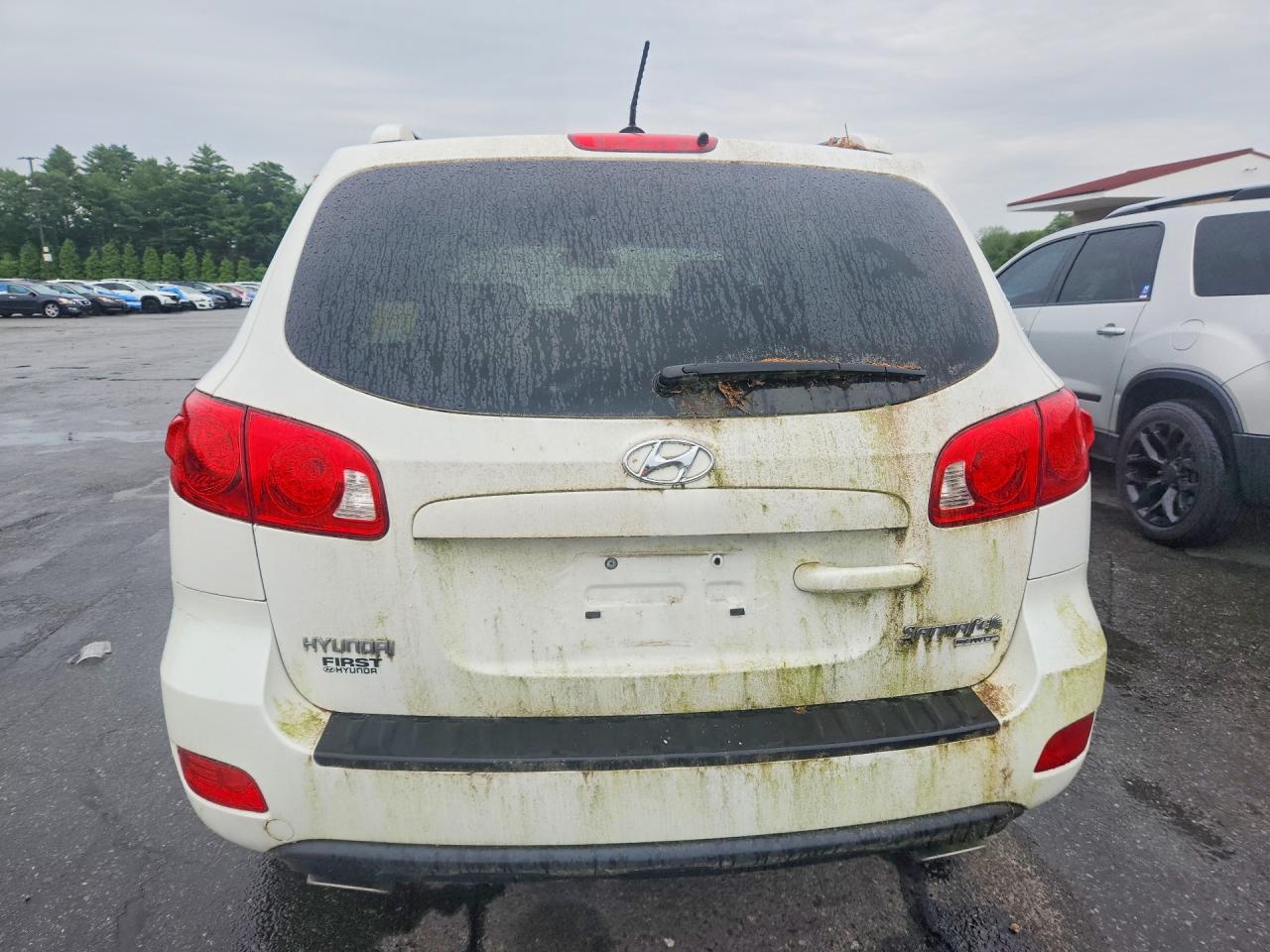 2009 Hyundai Santa Fe Se - Фото 6