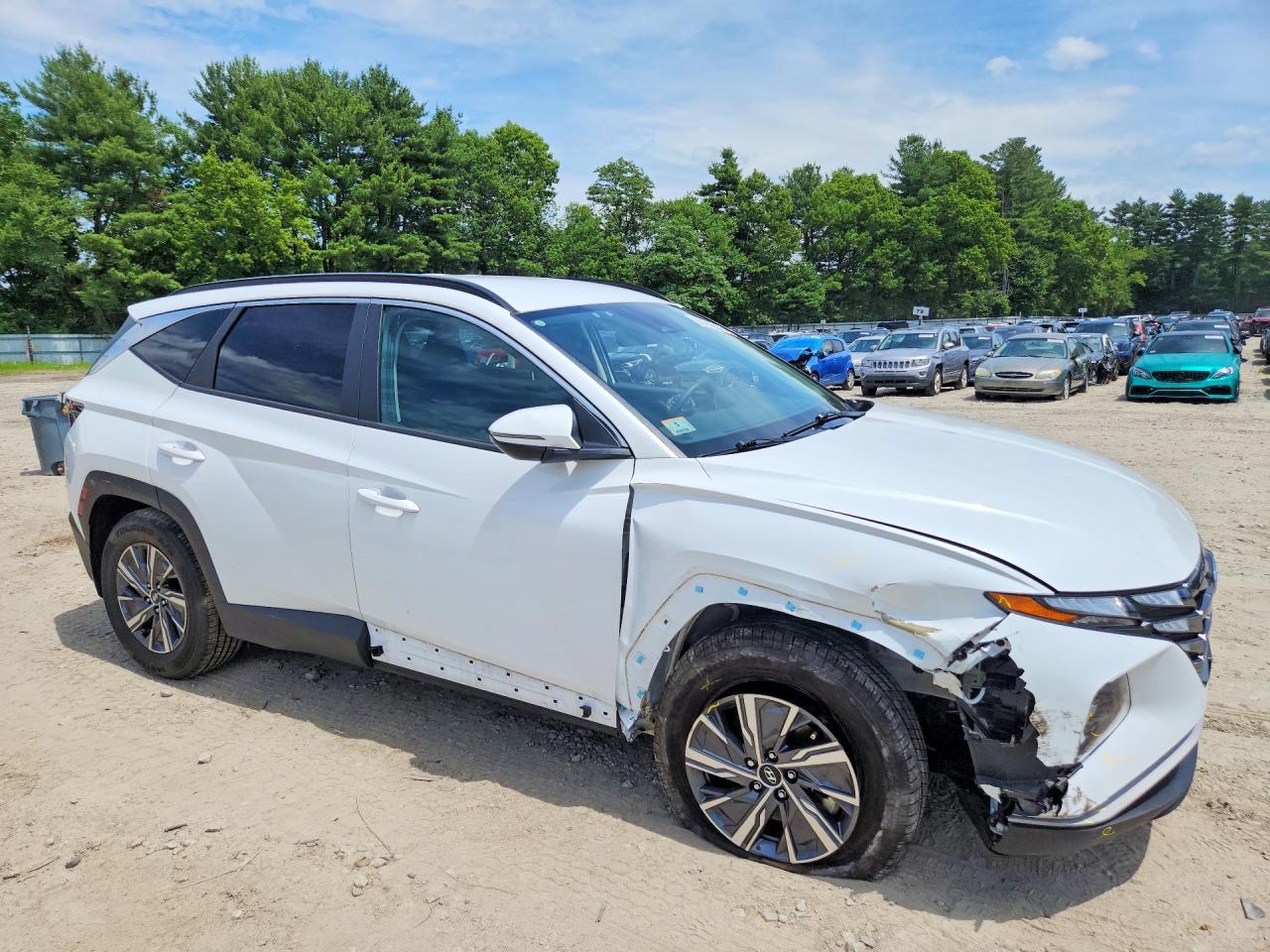 2023 Hyundai Tucson Blue - Image 4