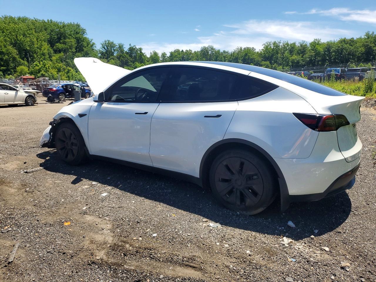 2023 Tesla Model Y - Image 2