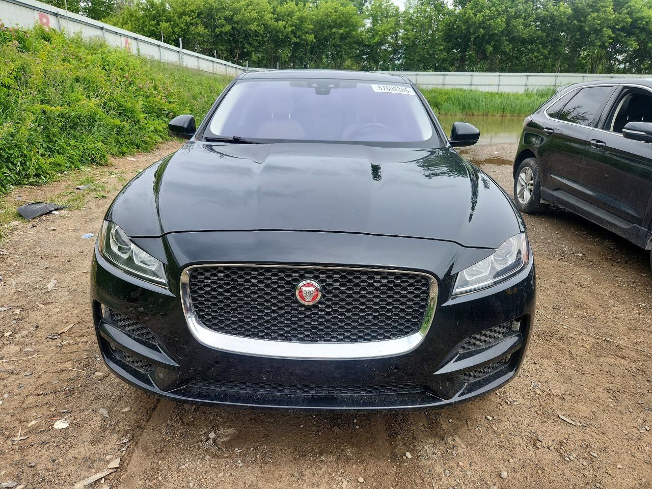 2017 Jaguar F-Pace - Фото 5