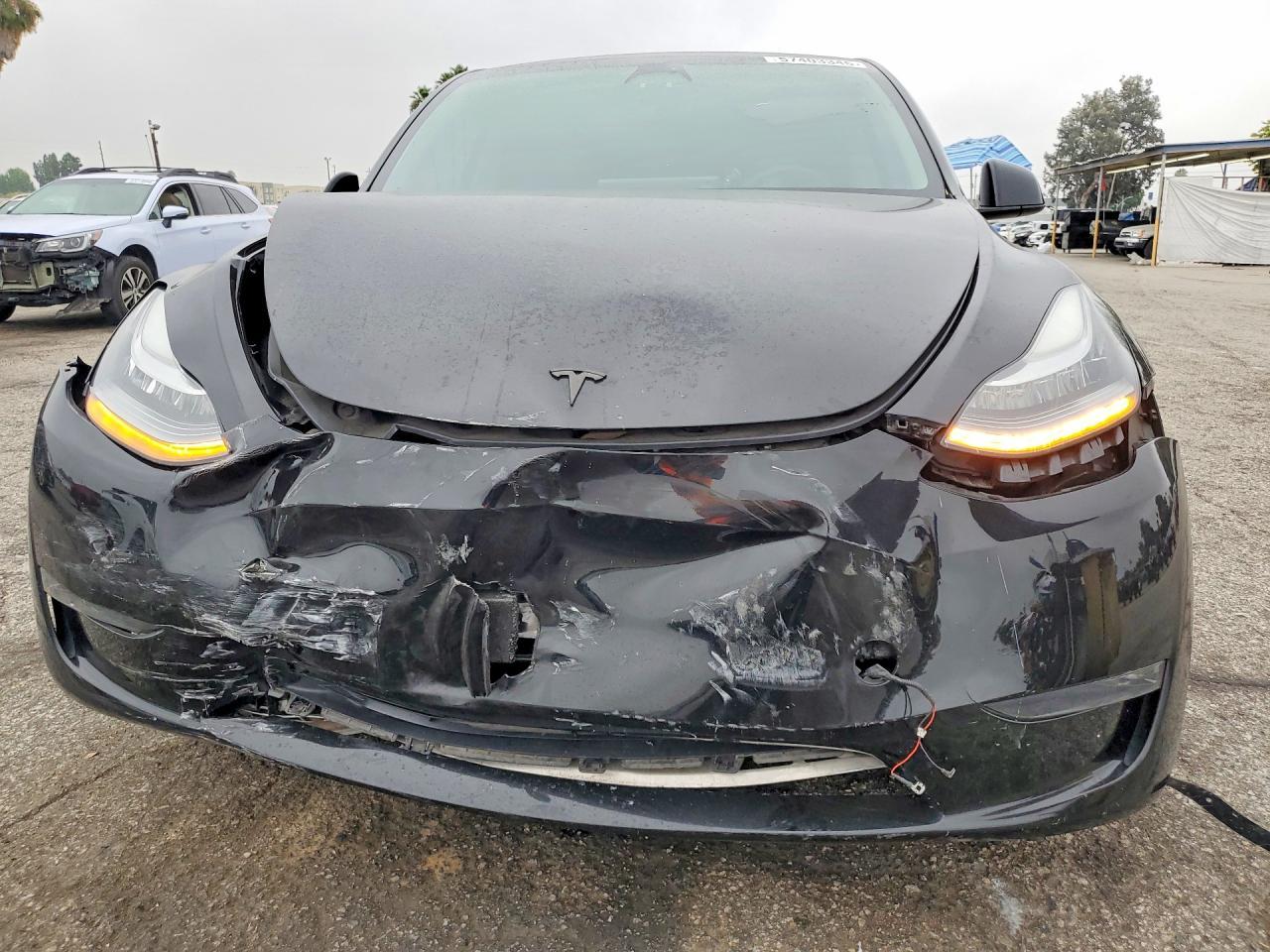 2023 Tesla Model Y - Фото 5