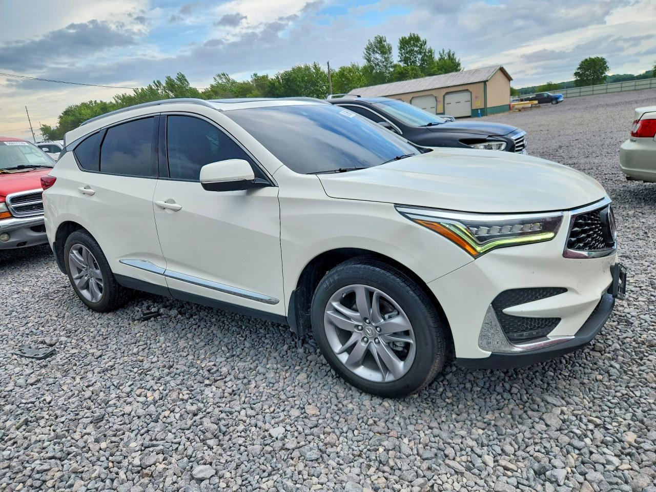 2019 Acura Rdx Advance - Image 4