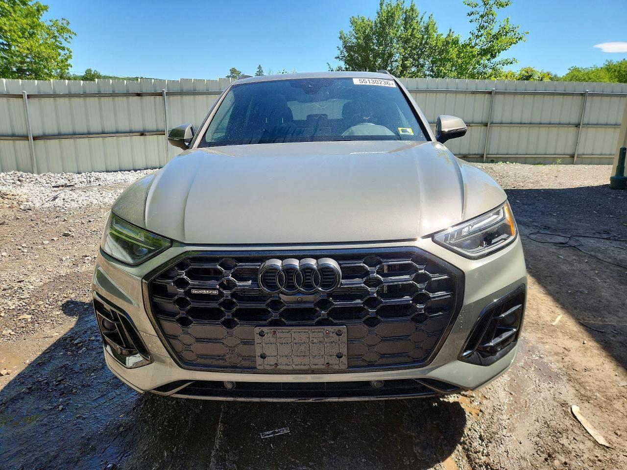 2024 Audi Q5 E Premium Plus 55 - Image 5