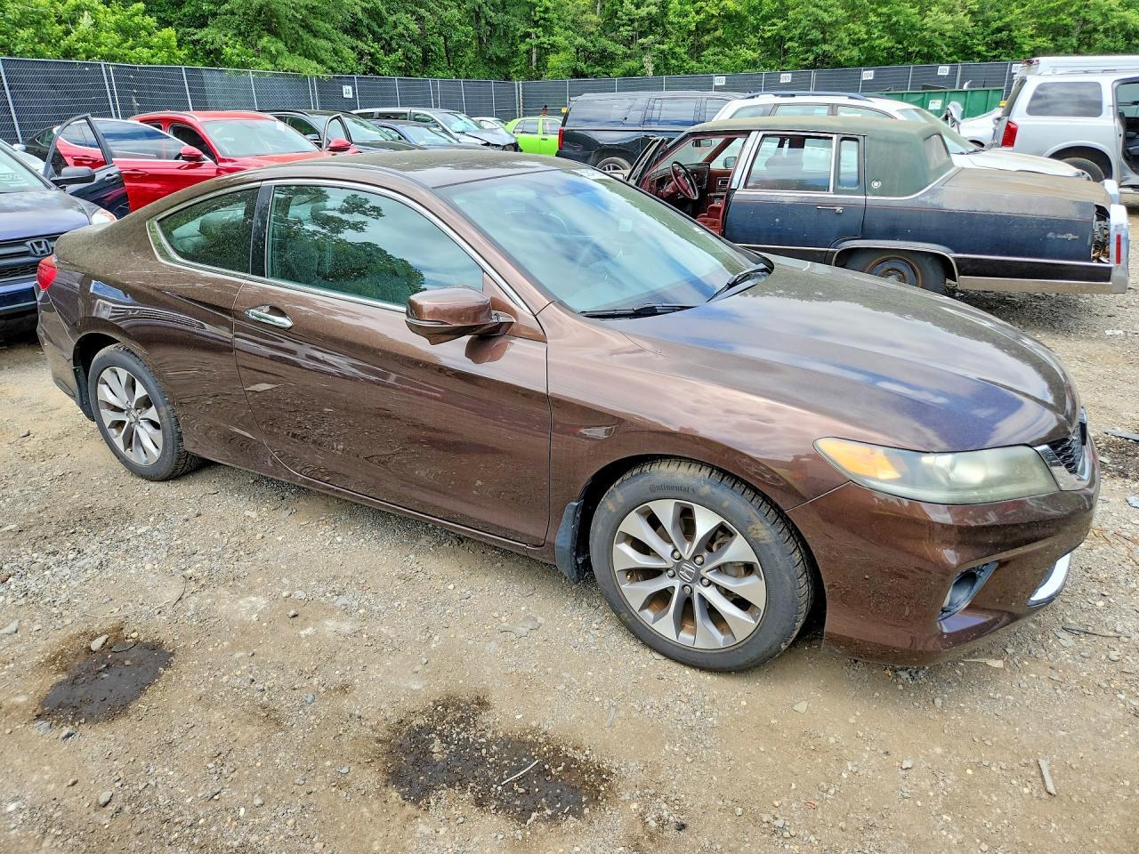 2014 Honda Accord Exl - Фото 4