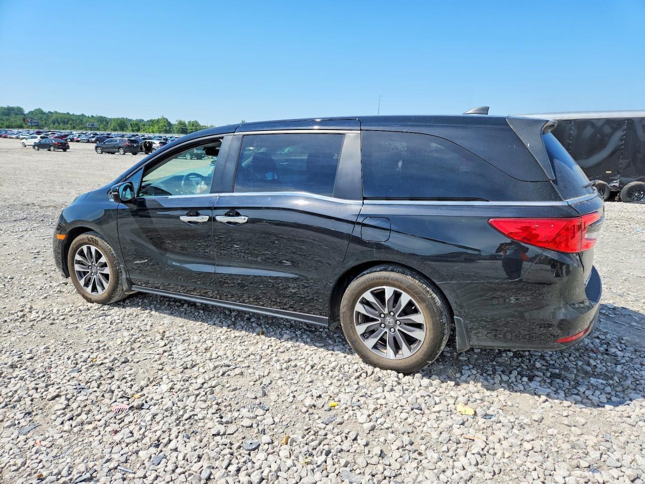 2024 Honda Odyssey Exl - Фото 2