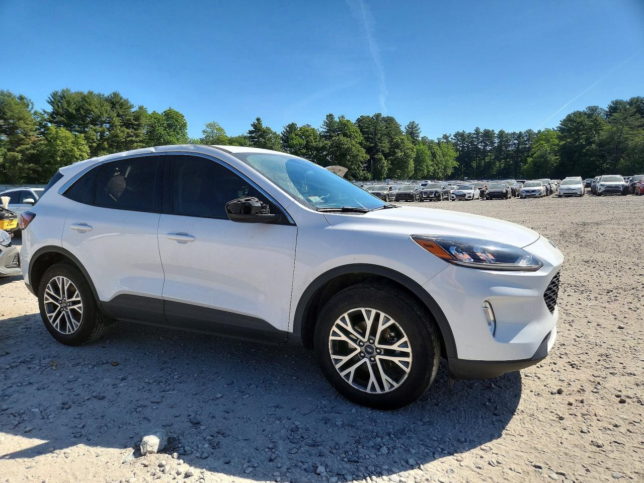 2022 Ford Escape Sel - Image 4