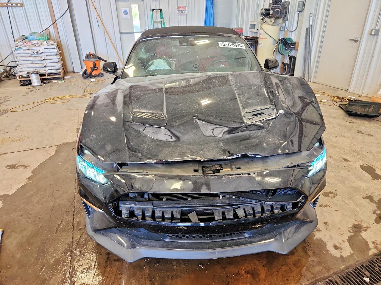 2019 Ford Mustang Gt - Фото 5
