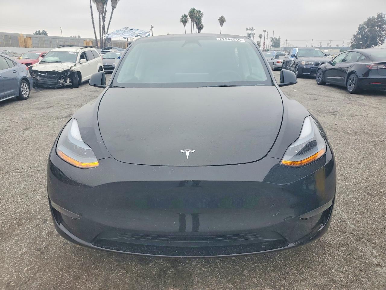2024 Tesla Model Y - Фото 5
