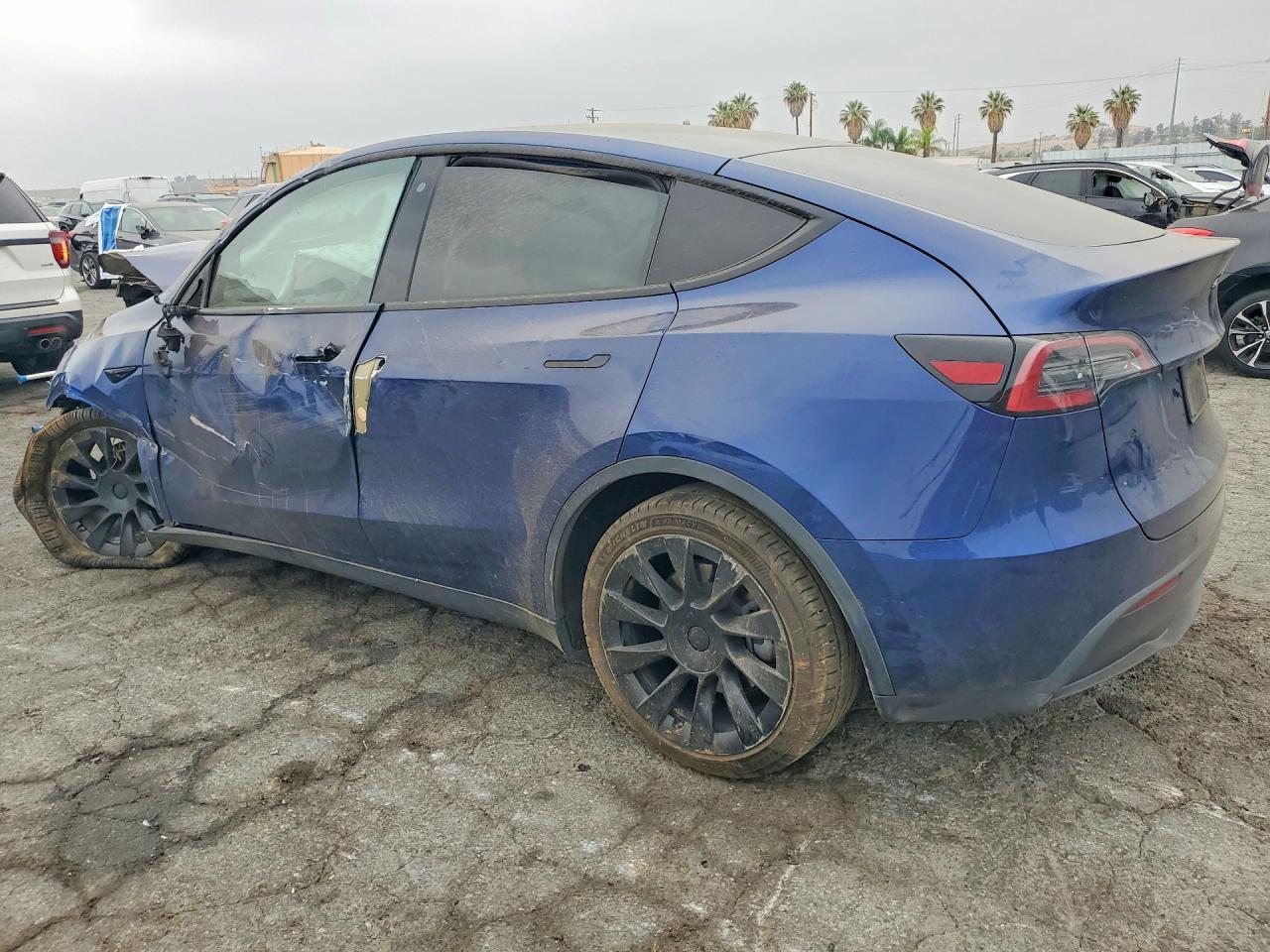 2020 Tesla Model Y - Фото 2