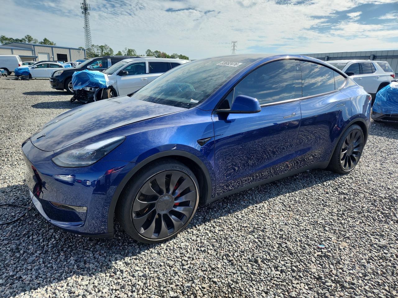 2023 Tesla Model Y