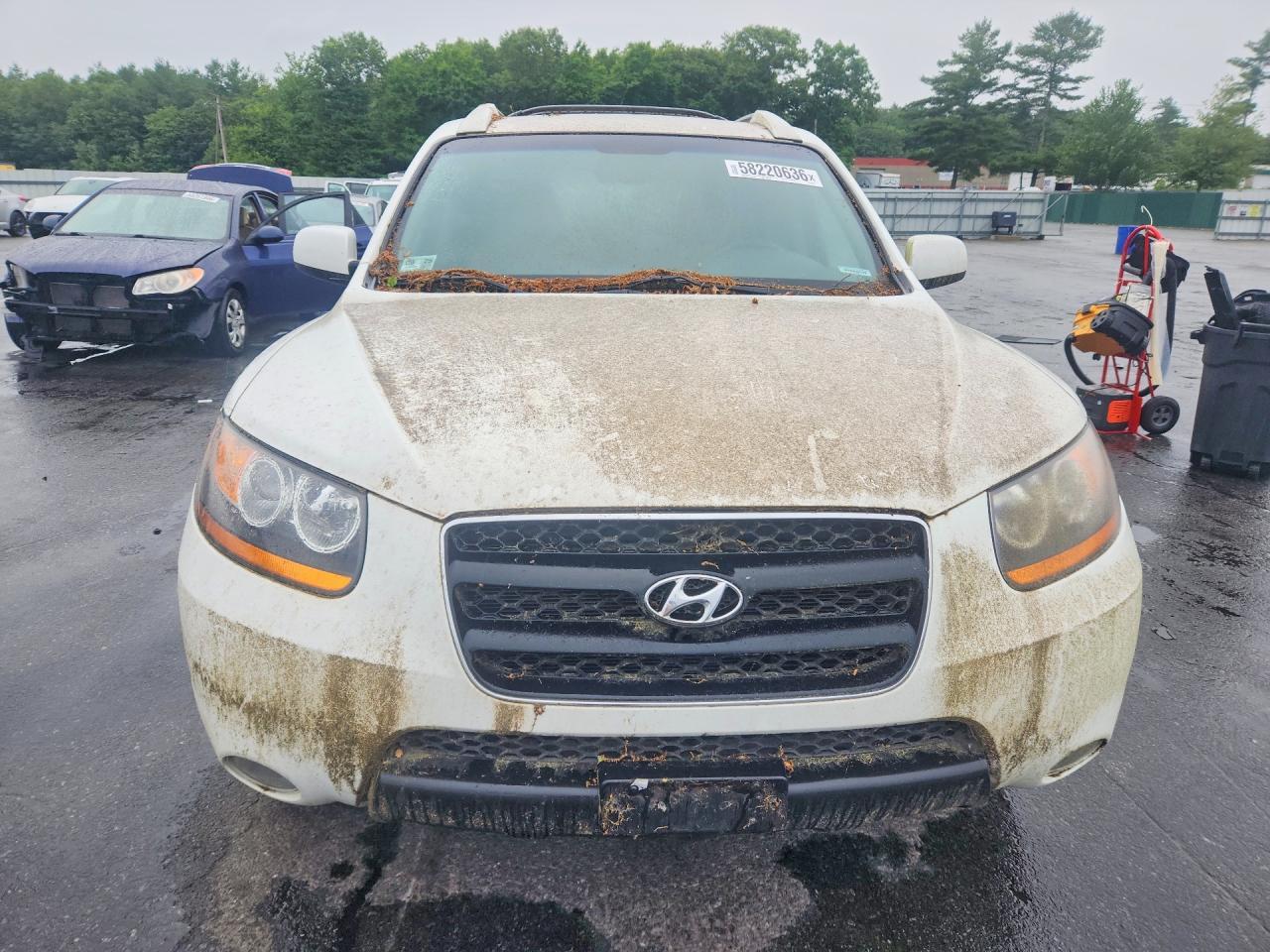 2009 Hyundai Santa Fe Se - Фото 5