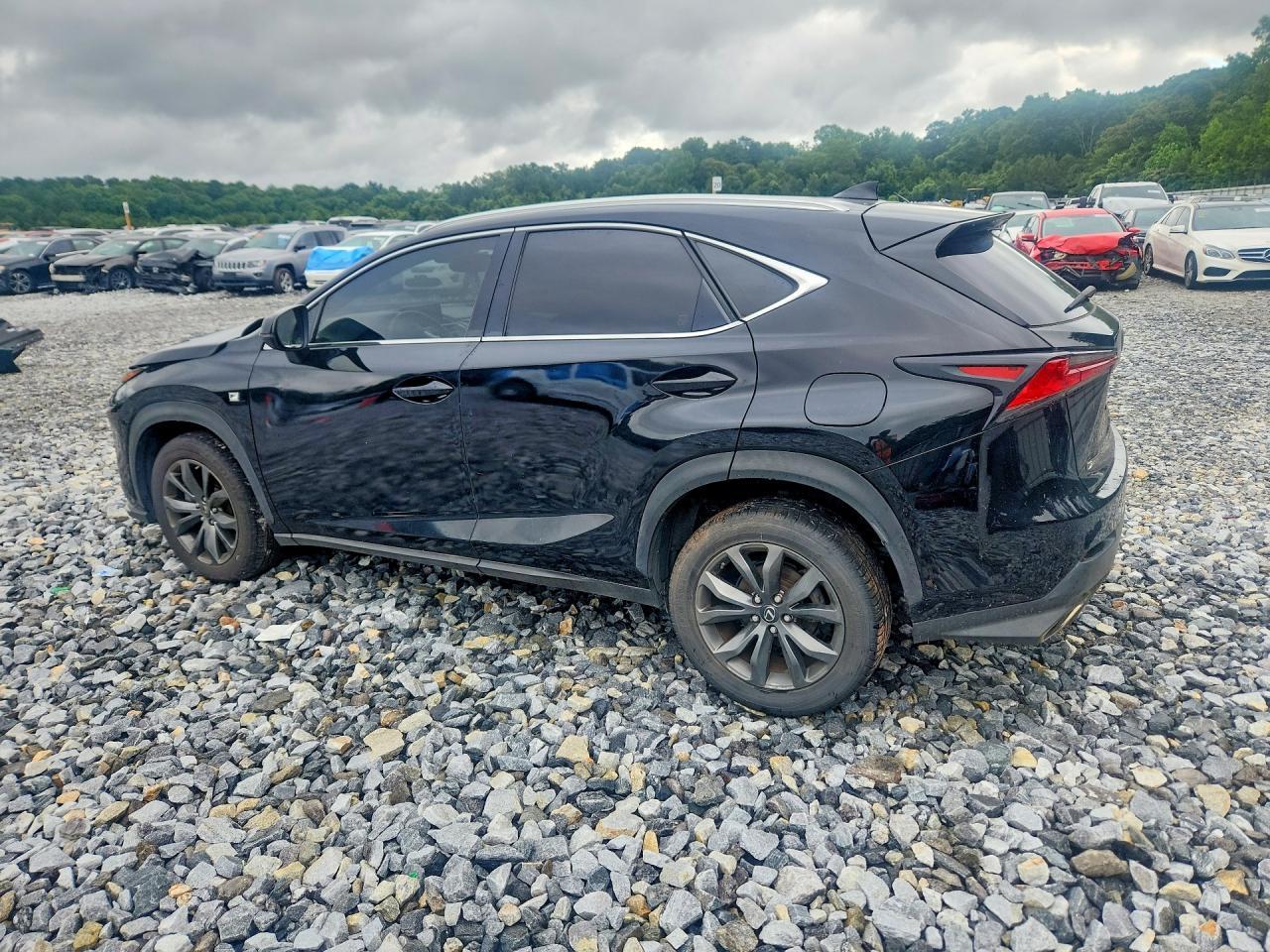 2018 Lexus Nx - Фото 2