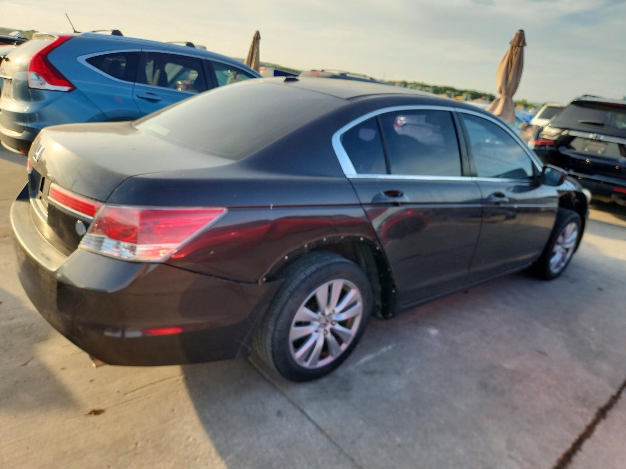 2011 Honda Accord Exl - Фото 3