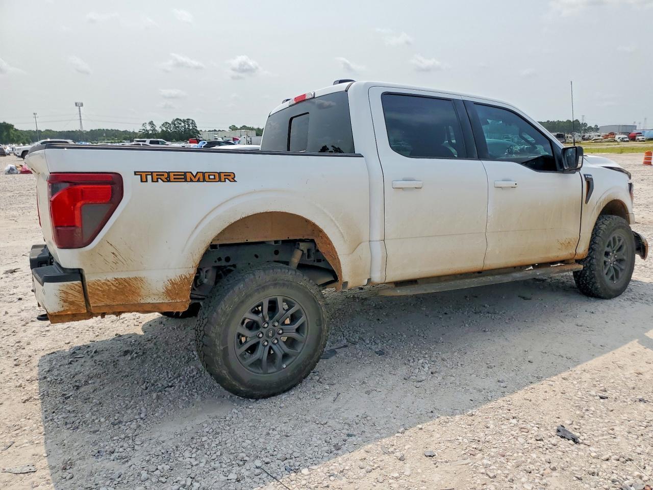 2025 Ford F150 Tremor - Image 3