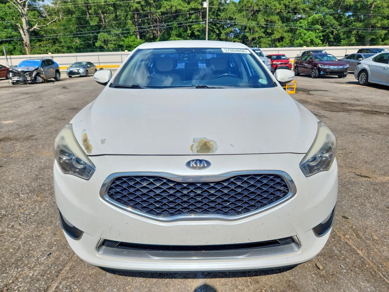2015 Kia Cadenza Premium - Фото 5