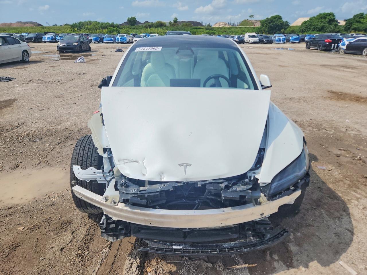 2025 Tesla Model 3 - Image 5