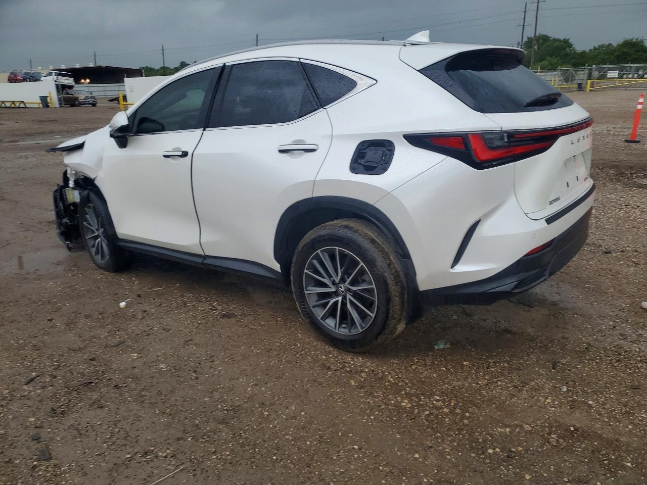 2024 Lexus Nx 250 Premium - Image 2