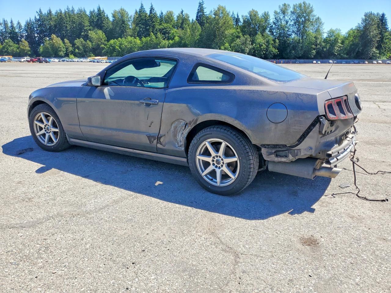 2014 Ford Mustang - Фото 2