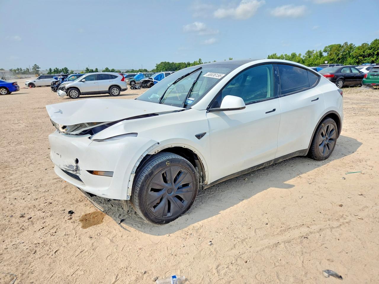 2025 Tesla Model Y