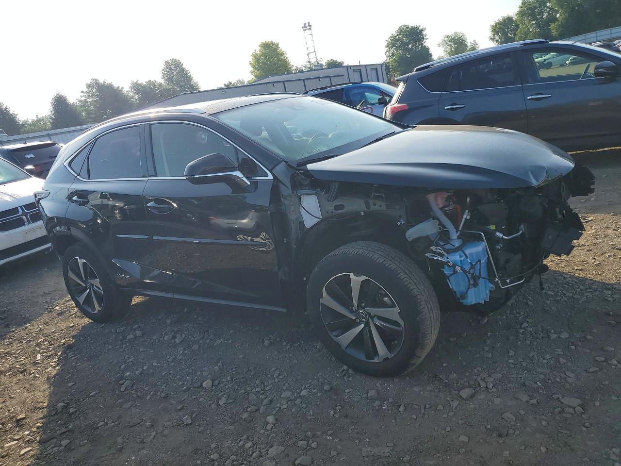 2021 Lexus Nx 300H Base - Фото 4